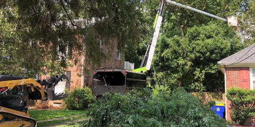 Tree Removal, Tree Cutting, Tree Service, Tree Pruning, Tree Trimming, Tree Crowning, Emergency Tree Service, Free Estimates Tree Removal, Tree Cutting, Tree Service, Tree Pruning, Tree Trimming, Tree Crowning, Emergency Tree Service, Free Estimates